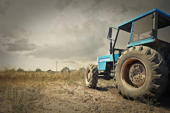 Agriculture