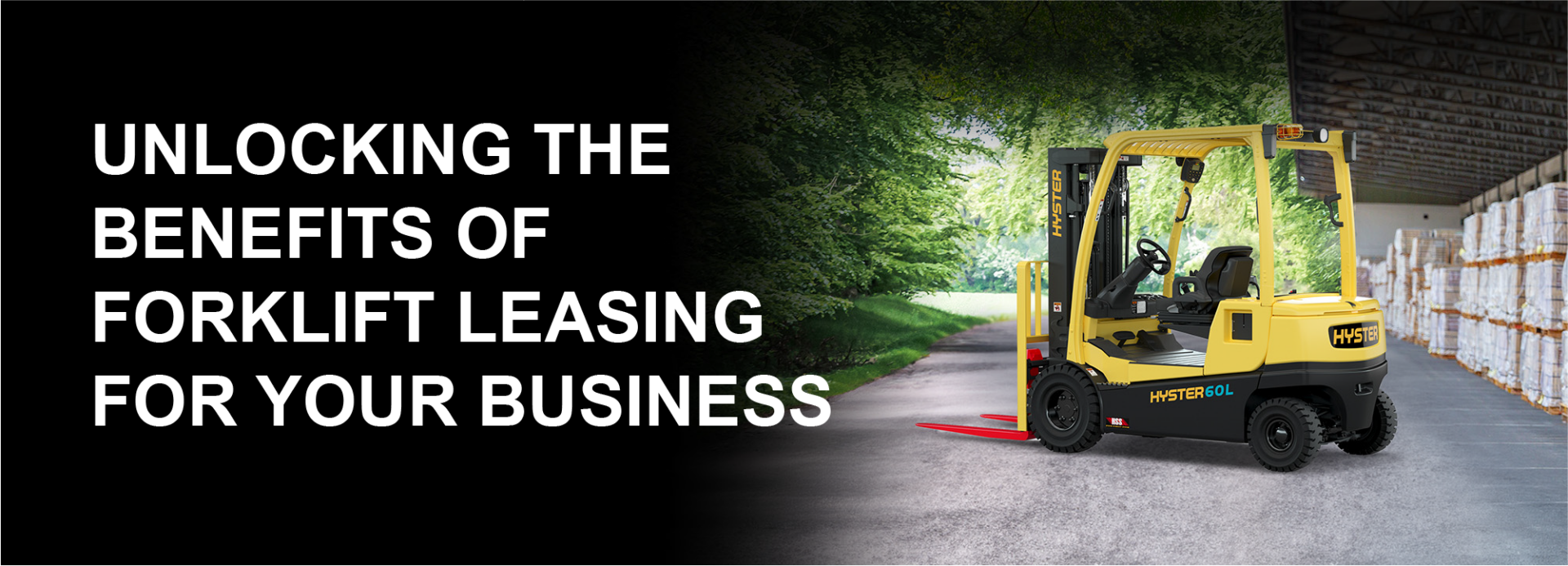 Leasing Options for Your Business Blog Post Leasing Options for Your Business Blog Post